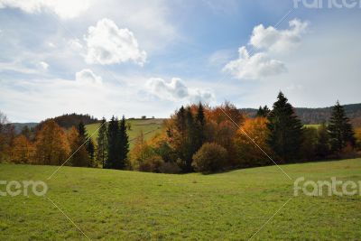 Autumn Forest in Mountain 1