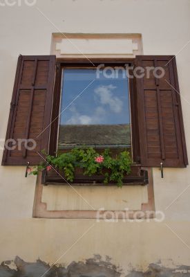 Window with flowers