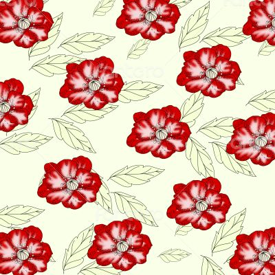 Floral background with poppy flowers and leaves 