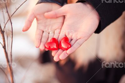 Valentine`s Day concept