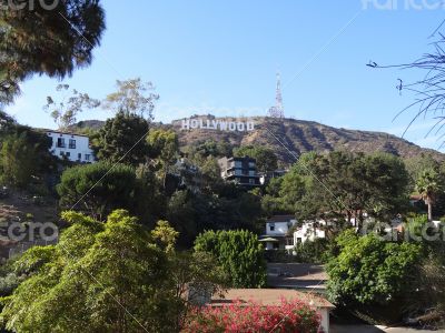 hollywood signs