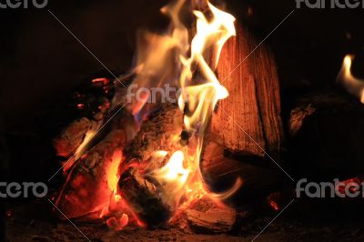 Bright fire in the fireplace. Burning wood photographed close.