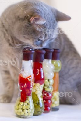 Gray cat with yellow eyes near decorative bottles with canned ve