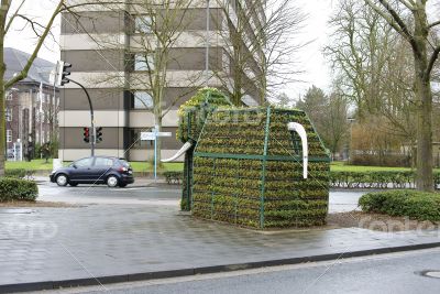 Elephant Flower bed