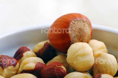 Background from various kinds of nuts