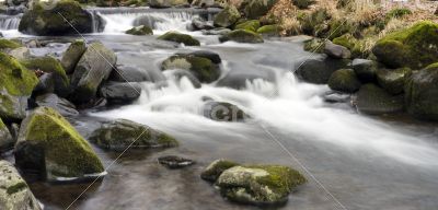 River bank and in clear water of stream. Winter is beginning at 