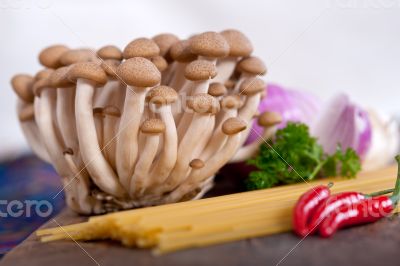 Italian pasta and mushroom sauce ingredients