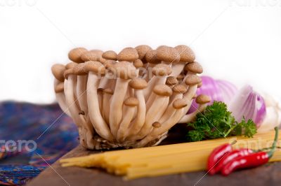 Italian pasta and mushroom sauce ingredients