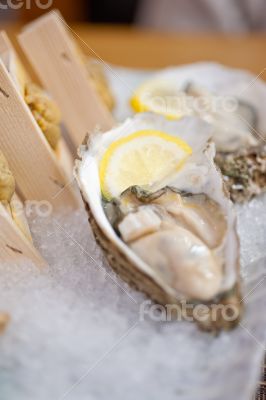 Japanese style oyster and sea urchin