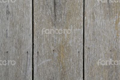 Old wooden door - background