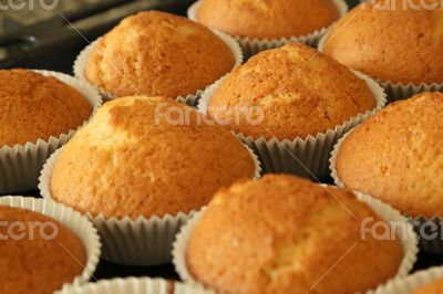 Muffins with vanilla flavour