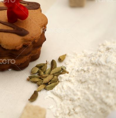 Spice - green cardamom