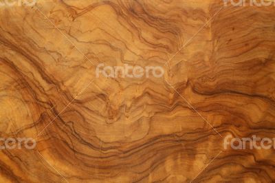 Olive tree wood -background