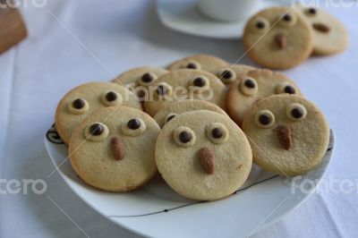 Biscuits for children