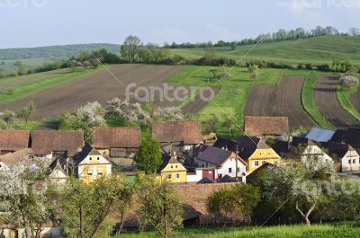 Old houses in a village in Transylvania