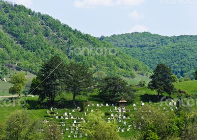 Countryside cemetery with green grass and trees