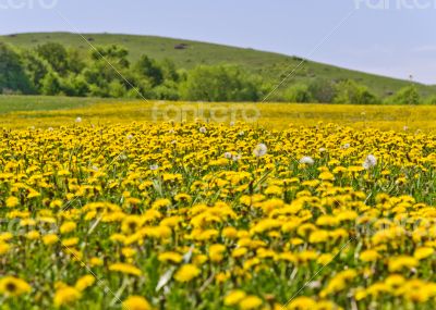 Beautiful countryside landscape in Transylvania