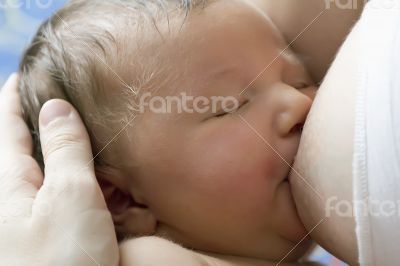 Sleeping eating cute newborn