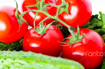 Cucumber and tomato