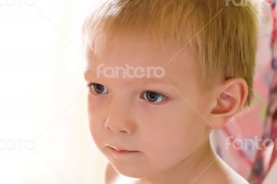 Portrait of cute boy