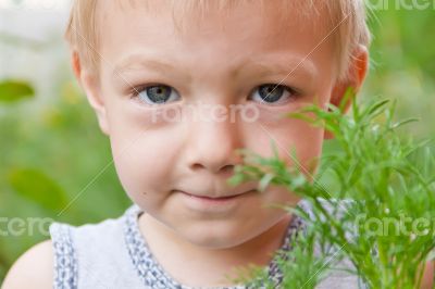 Portrait of cute boy