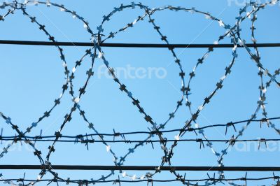 Metal barbed wire