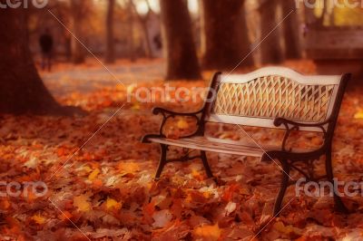 Lonely Bench in a Hungarian Cemetery