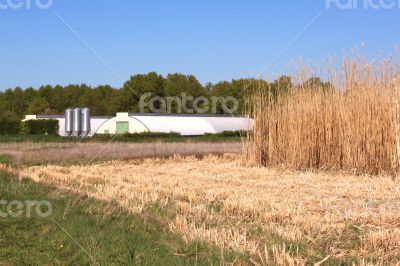 Organic farming