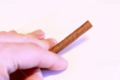 Mans hand hold  a natural cigarillo isolated on the white backgr