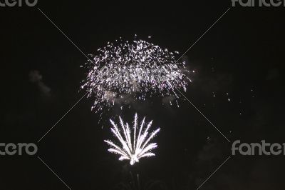 Colorful firework in the black night sky