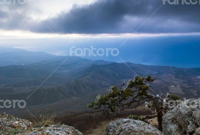 mountain pine in the background is Demerdji in the Crimea 