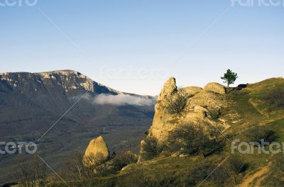 mountain pine in the background is Demerdji in the Crimea 