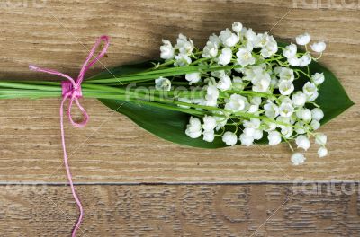 Close up of Lily of the valley