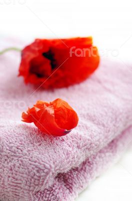 Poppy Flower over Rolled towel