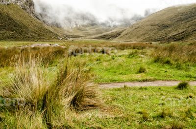 The Andes