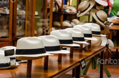 Panama hats