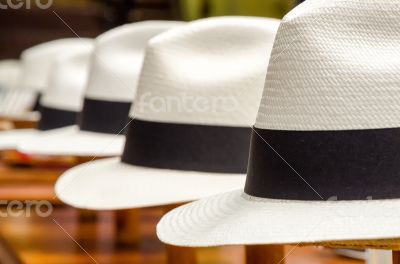 Panama hats