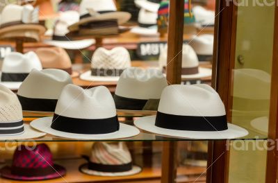 Panama hats