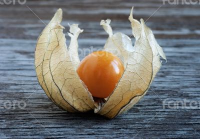 Physalis, lying on a wooden surface