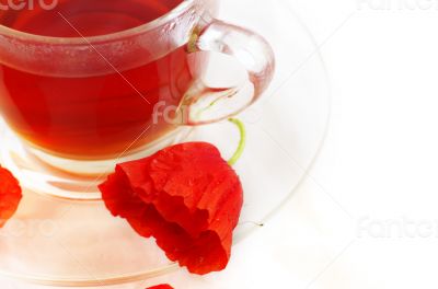 Poppy in glass cup on white table 