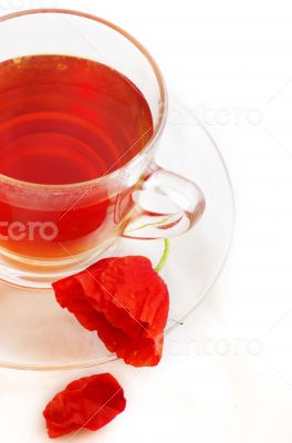 Poppy in glass cup on white table 