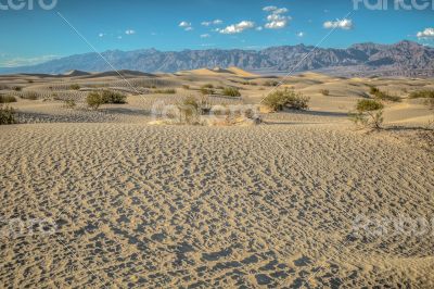 dunes in Death Valley