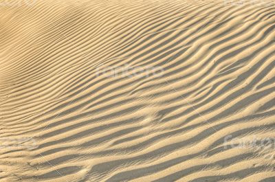 sand dune texture