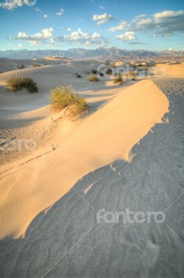 Death Valley dunes in sunset light