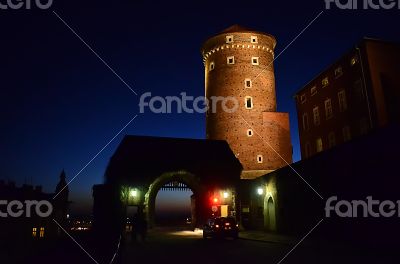 Wawel in Cracow