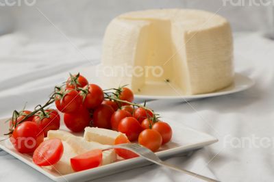 Cherry tomatoes and fresh sicilian cheese