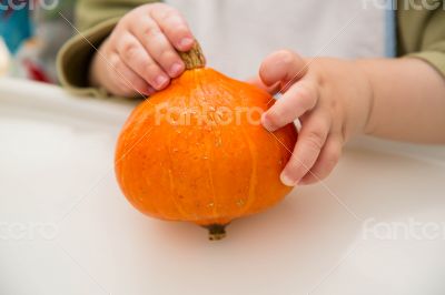 Small orange pumpkin in the baby`s hands