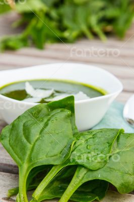 Fresh leaves of spinach