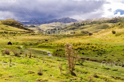 The Andes