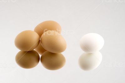 Brown and white eggs